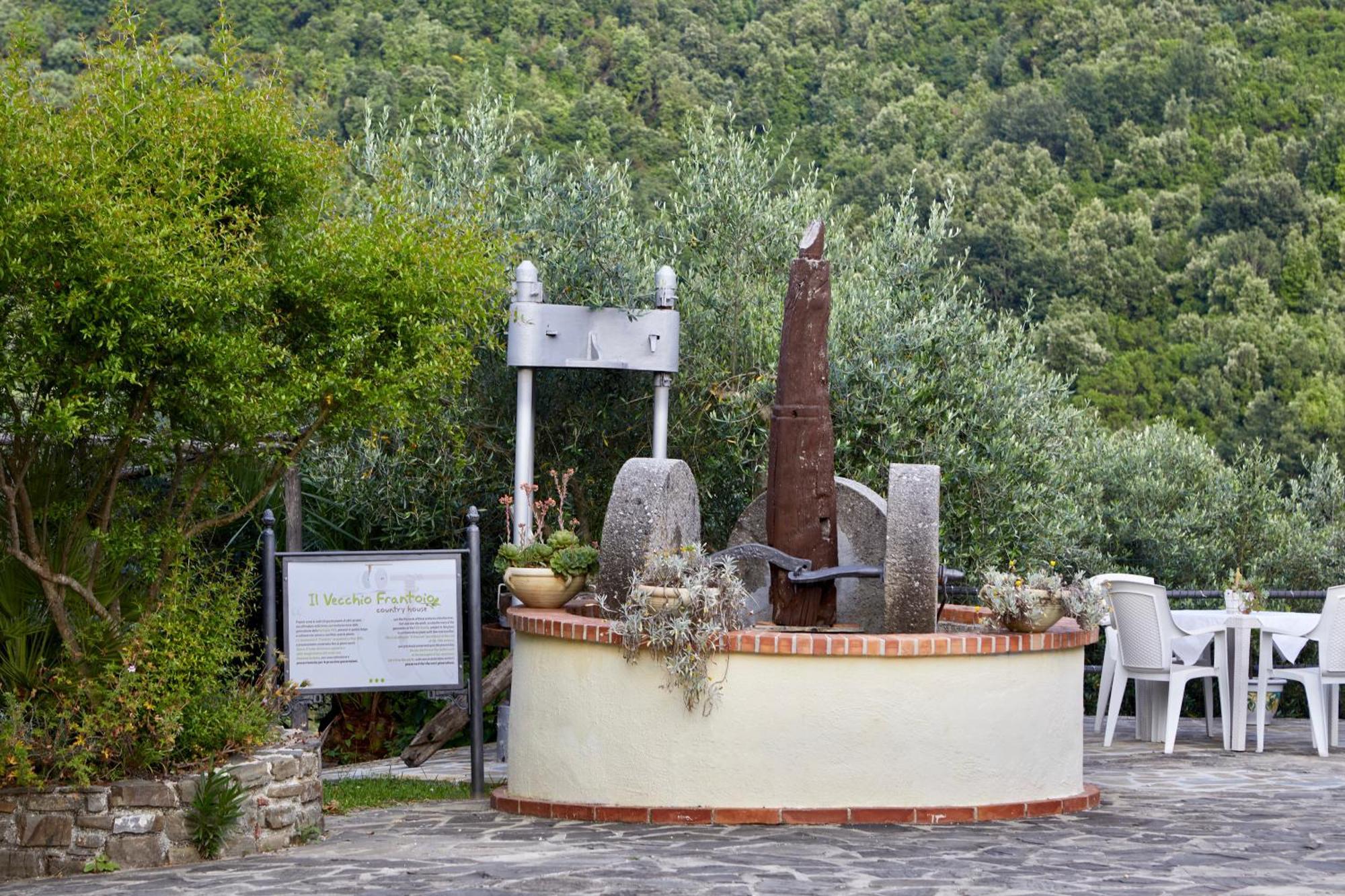 Il Vecchio Frantoio Villa Stella Cilento Exterior photo